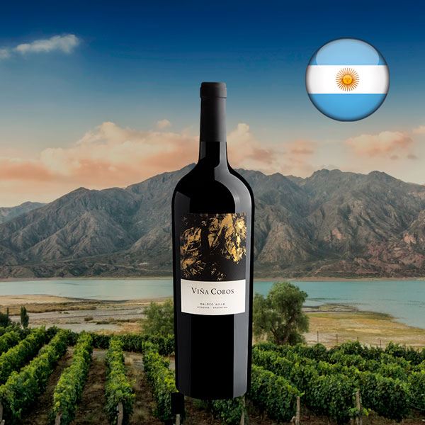 Viña Cobos Vinculum Malbec 2018 1500 mL - Oferta