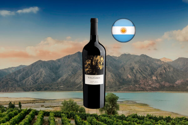 Viña Cobos Vinculum Malbec 2018 1500 mL - Thumbnail