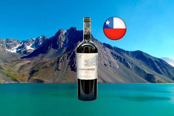 Casas Del Bosque Gran Reserva Cabernet Sauvignon 2020 - Thumbnail