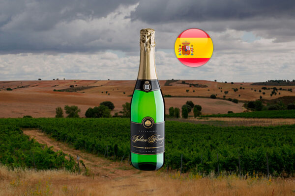 Julián Arvay Selection Brut - Thumbnail