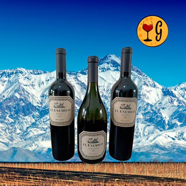 Kit 3 Vinhos El Enemigo – Trio Premiado de Mendoza - Oferta
