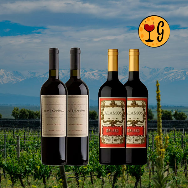 Kit 4 Garrafas DV Catena Malbec-Malbec e Alamos Malbec – Excelência e Versatilidade do Malbec Argentino em Dose Quádrupla - Oferta