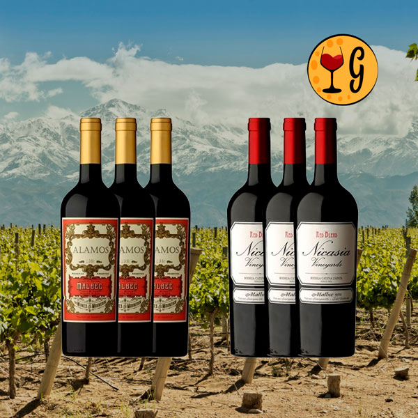 Kit 6 Garrafas Alamos Malbec 2019 e Nicasia Vineyards Red Blend Malbec 2020 – Tradição e Exclusividade em Dose Tripla - Oferta