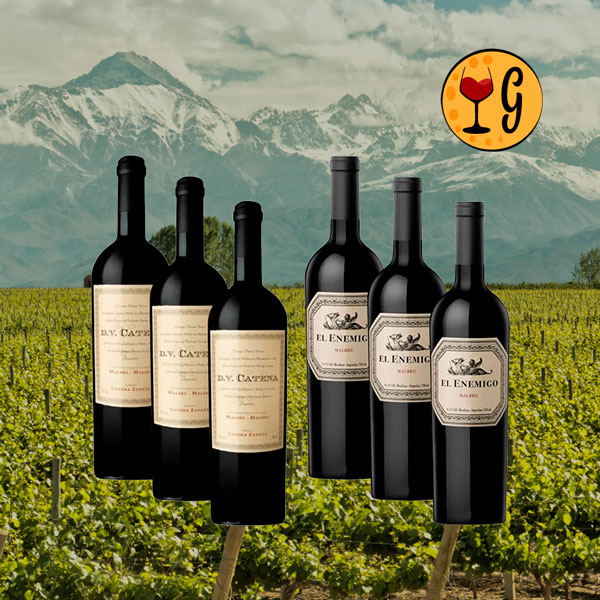Kit 6 Garrafas DV Catena Malbec-Malbec e El Enemigo Malbec – Legado e Ousadia do Malbec Argentino - Oferta
