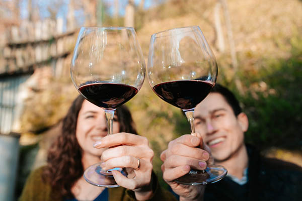Kit 6 Garrafas El Enemigo Malbec 2017 – Exuberância Andina Multiplicada por Seis - Brindando