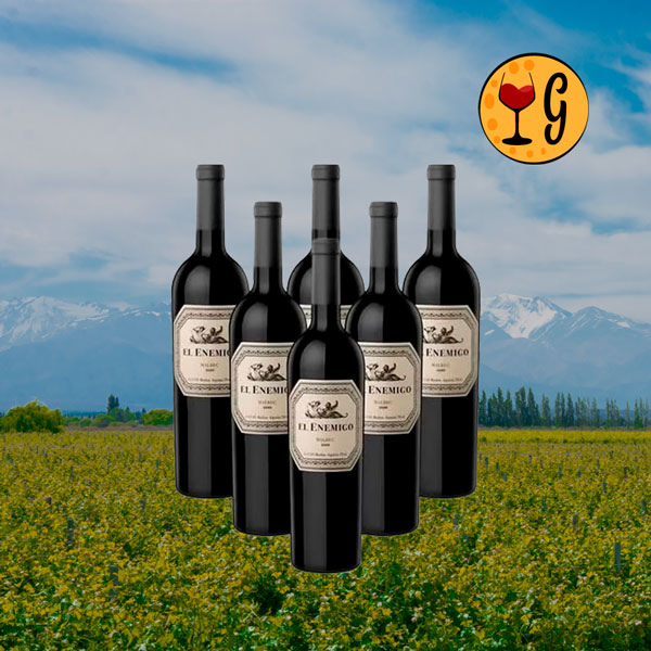 Kit 6 Garrafas El Enemigo Malbec 2017 – Exuberância Andina Multiplicada por Seis - Oferta