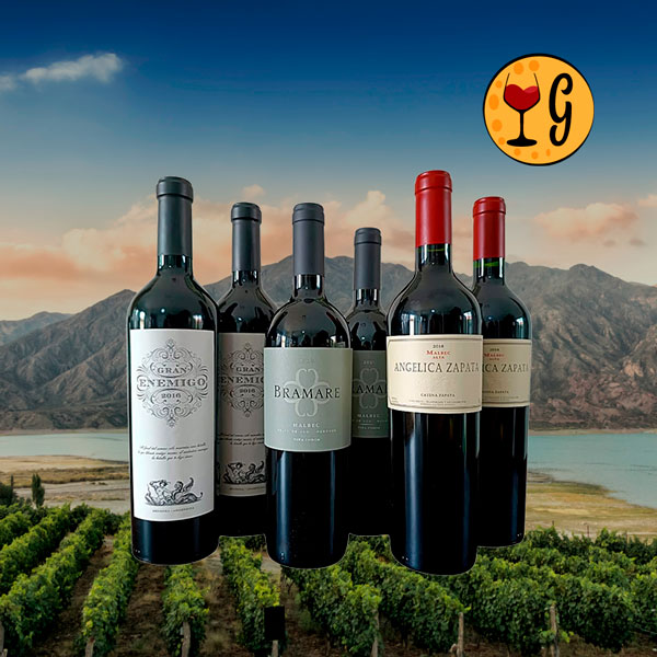 Kit 6 Vinhos Argentinos Consagrados – Três Rótulos Prestigiados de Mendoza em Dose Dupla - Oferta