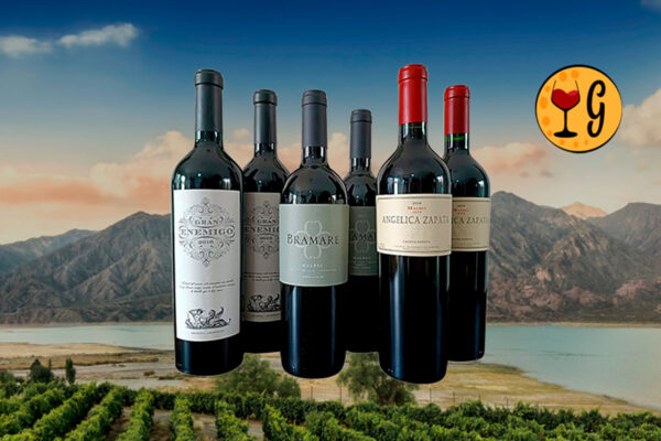 Kit 6 Vinhos Argentinos Consagrados – Três Rótulos Prestigiados de Mendoza em Dose Dupla - Thumbnail