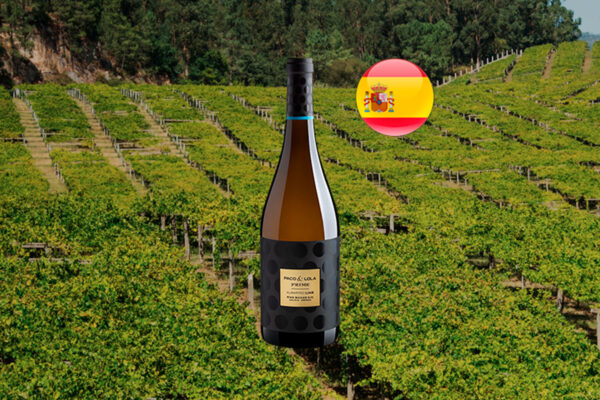 Paco & Lola Prime Albariño Lías Rías Baixas DO - Thumbnail