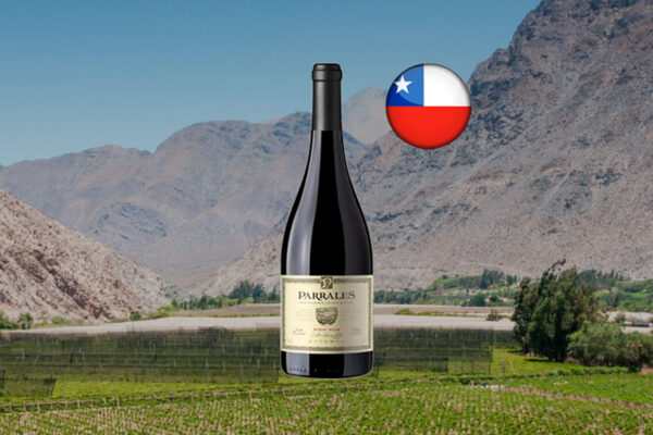 Parrales Reserva Pinot Noir 2022 - Thumbnail