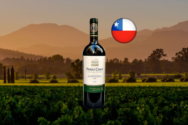 Perez Cruz Limited Edition Cot (Malbec) 2022 - Thumbnail