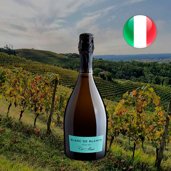 Col Moniér Blanc de Blancs Vino Spumante Extra Dry - Oferta