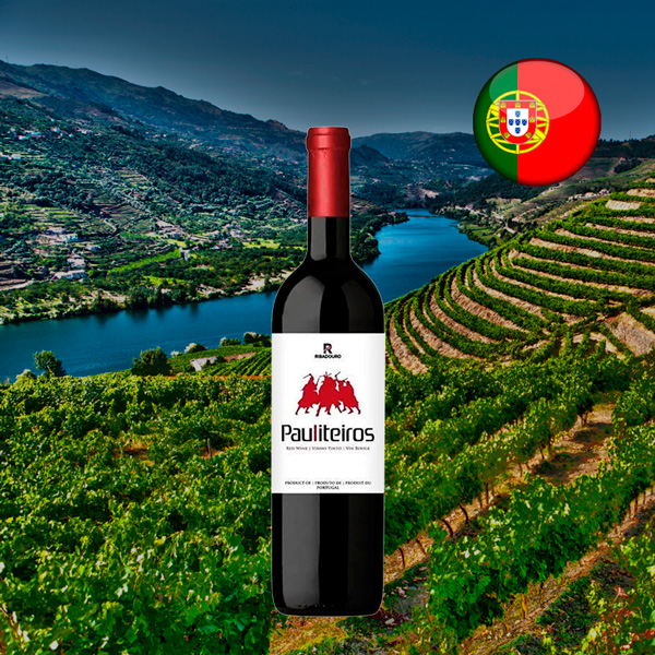 Ribadouro Tinto 2020 - Oferta