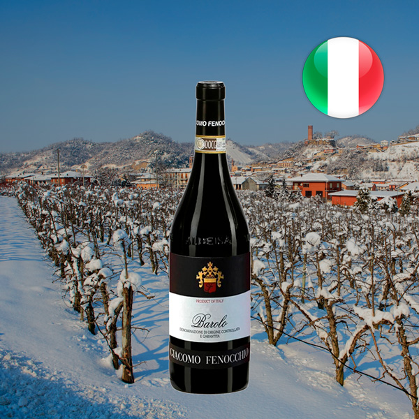 Giacomo Fenocchio Barolo Bussia 2020 - Oferta