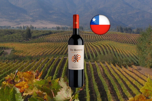 Viu Manent Gran Reserva Malbec 2022 - Thumbnail