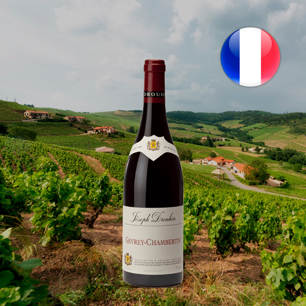 Beaujolais-Villages 2022 - Oferta