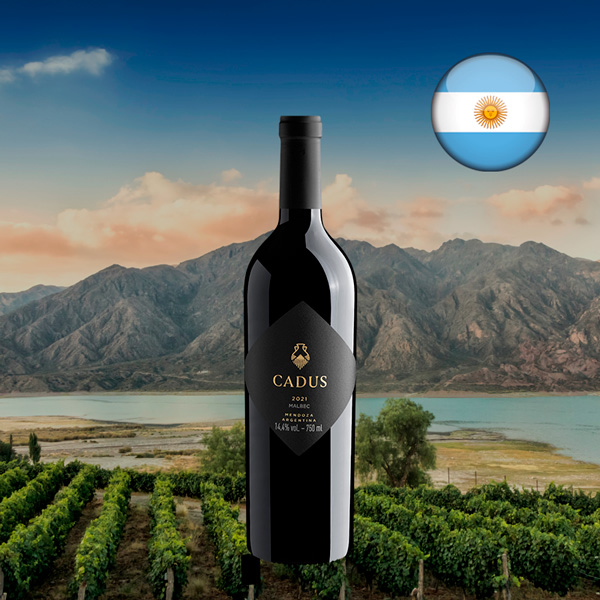 Cadus Icono 2021 - Oferta