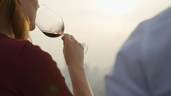 Cruz de Alba Crianza 2017 - Degustando