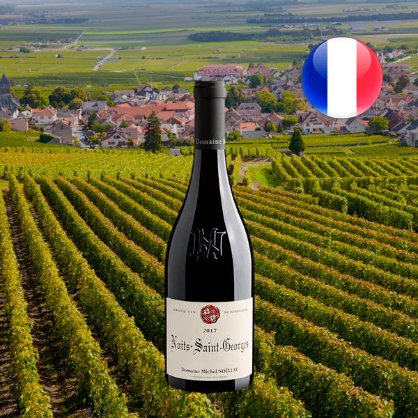Domaine Michel Noëllat Nuits-Saint-Georges 2017 - Oferta