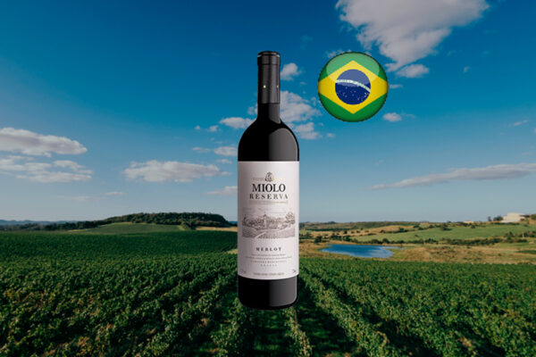 Miolo Reserva Merlot 2023 - Thumbnail