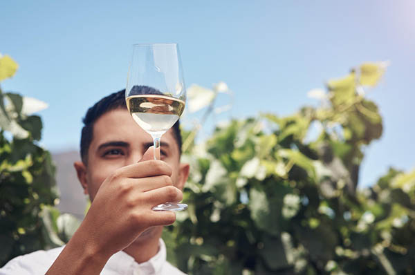 Castillo de Utrera Vino Blanco - Degustando
