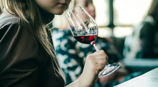 Dominio Vega Linde Garnacha Navarra DO 2023 - Degustando