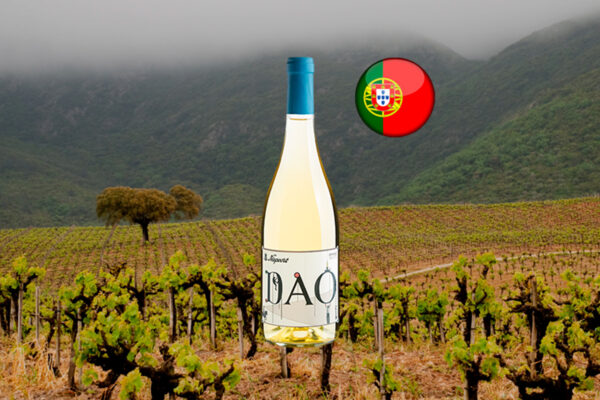 Niepoort Dão Rótulo Branco 2020 - Thumbnail