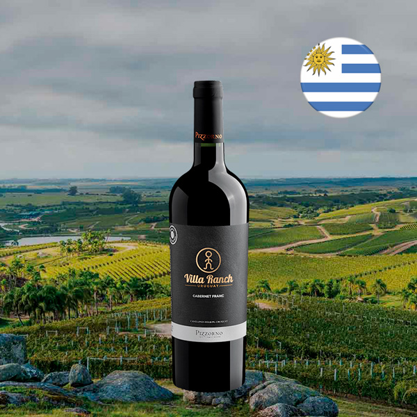 Pizzorno Villa Ranch Cabernet Franc - Oferta