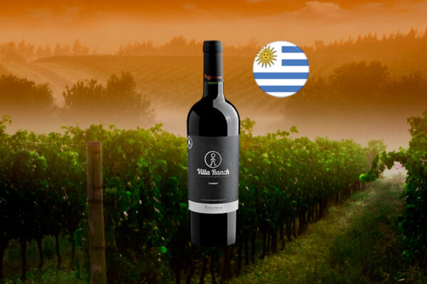 Pizzorno Villa Ranch Tannat 2025 - Thumbnail