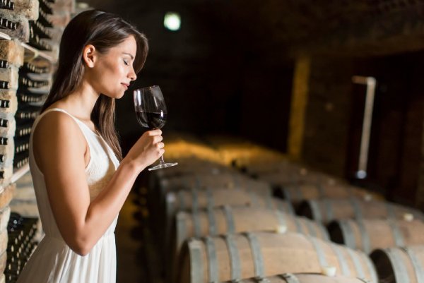 Casa Donoso Palmira Gran Reserva Malbec 2024 - Degustando