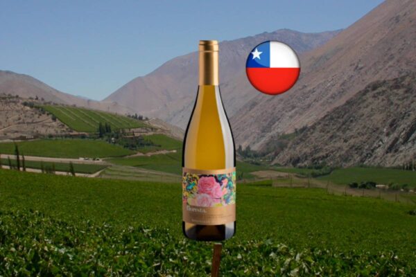Floresta Winemaker Selection Chardonnay - Thumbnail