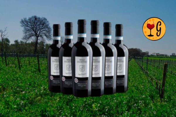 Kit 6 Gran Maestro Primitivo di Manduria: vale a pena comprar? - Thumbnail