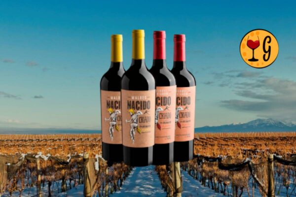 Kit Nacido & Criado en Mendoza: vale a pena comprar - Thumbnail