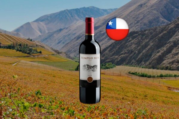 Templo Sur Syrah - Thumbnail