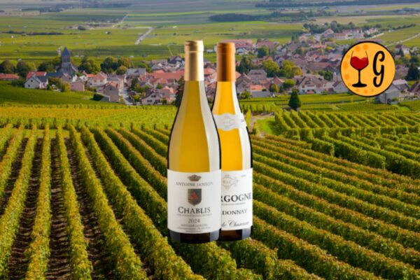 Kit 1 Chablis + 1 Borgonha - Thumbnail