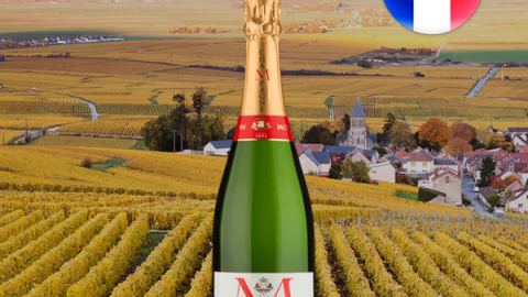 Champagne Montaudon Brut - Oferta