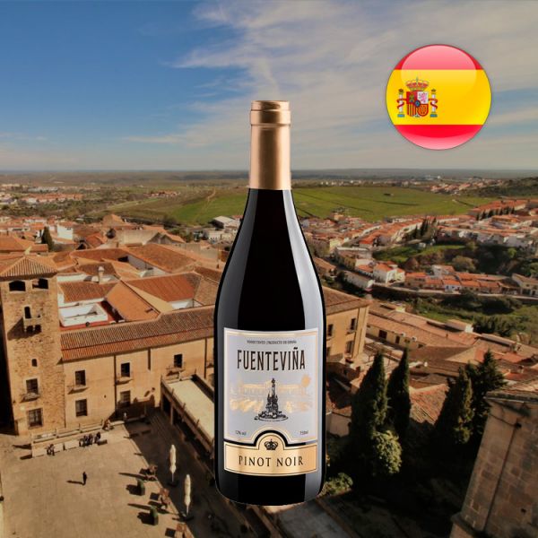 Fuenteviña Pinot Noir - Oferta Fuenteviña Pinot Noir - Oferta