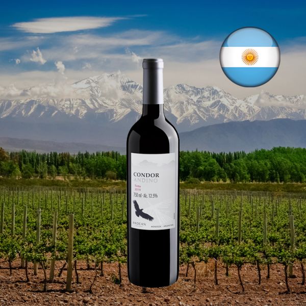 Condor Andino Malbec 2019 - Oferta