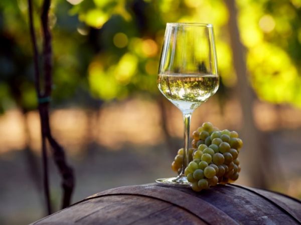 vinho branco para cozinhar