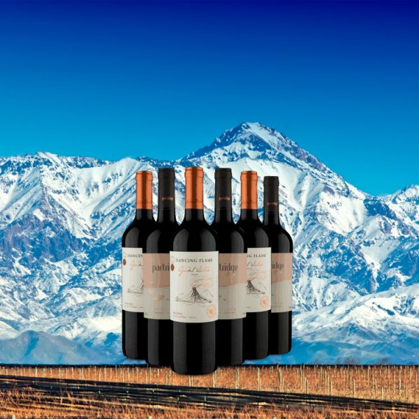 Kit Malbec (6 Vinhos)