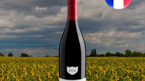 Buissonnier Grand Vin de Bourgogne Mercurey AOC 2018 - Oferta