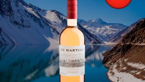 De Martino Malbec Rosé Valle del Maipo D.O. 2019 - Oferta