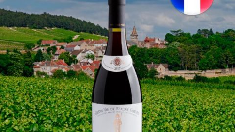 Bouchard Père & Fils Grand Vin de Beaune-Grèves Vigne de L'Enfant Jésus Premier Cru 2017 - Oferta