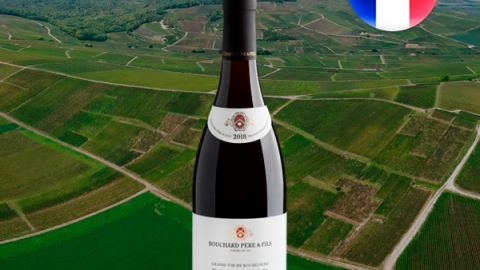 Bouchard Père & Fils Grand Vin de Bourgogne Pommard AOC 2018 - Oferta