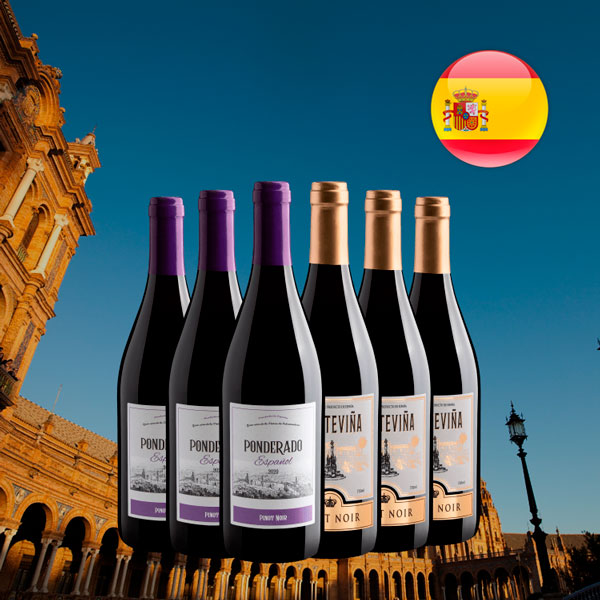 Kit 6 Pinot Noir - Oferta