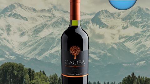 Caoba Oaked Malbec 2020 - Oferta