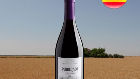 Ponderado Pinot Noir 2021 - Oferta