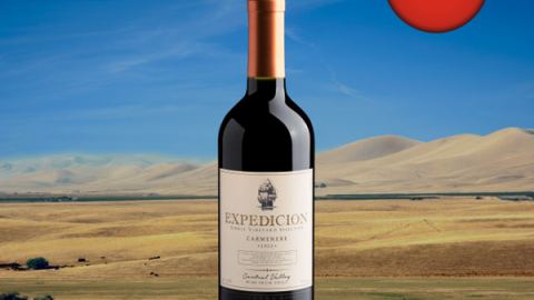 Expedicion Single Vineyard Selection Carménère Central Valley DO 2022 - Oferta