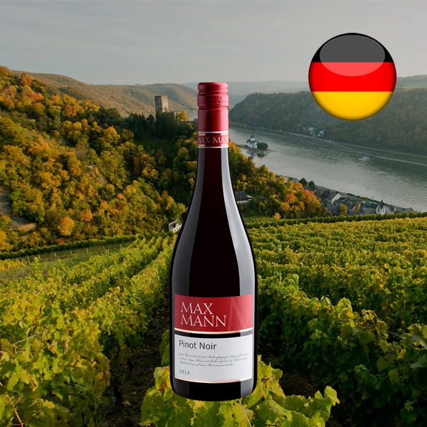 Max Mann Pinot Noir Pfalz 2019 - Oferta