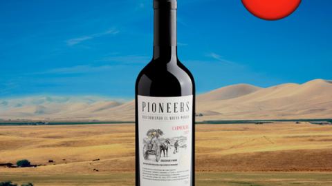 Pioneers Carménère 2022 - Oferta